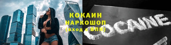 дживик Калининец