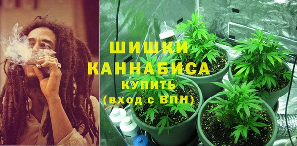 дживик Калининец