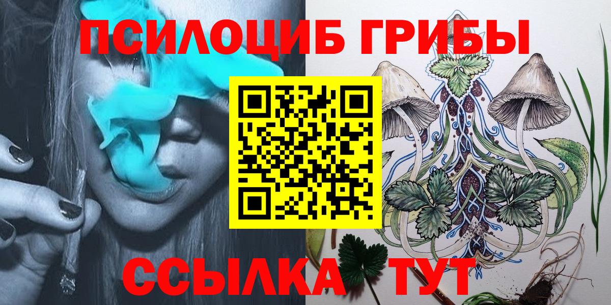 Псилоцибиновые грибы мицелий Коломна